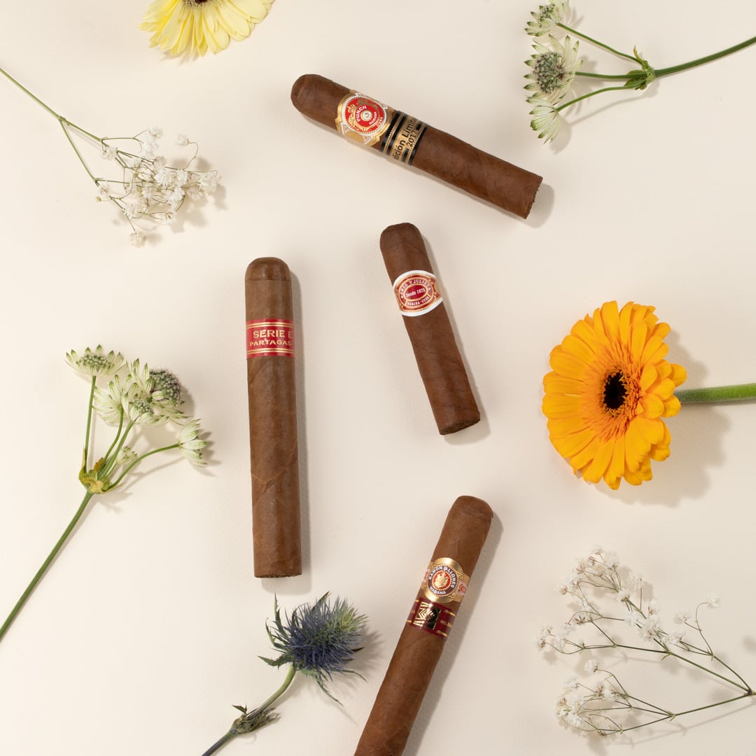 10% OFF Cuban Sticks