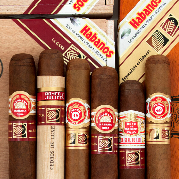 Casa del Habano