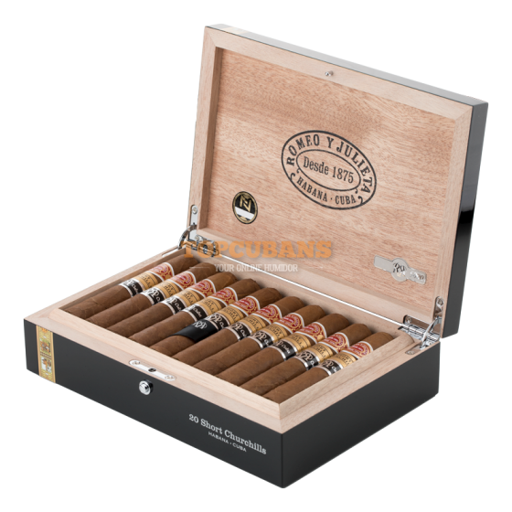 Short Churchills Reserva Cosecha 2019