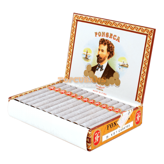 FONSECA (폰세카) KDT Cadetes (Box of 25)
