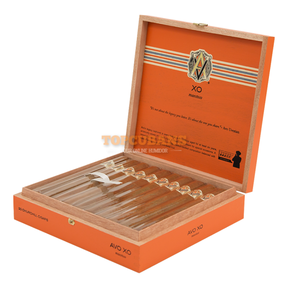 AVO XO Maestoso (Box of 20)