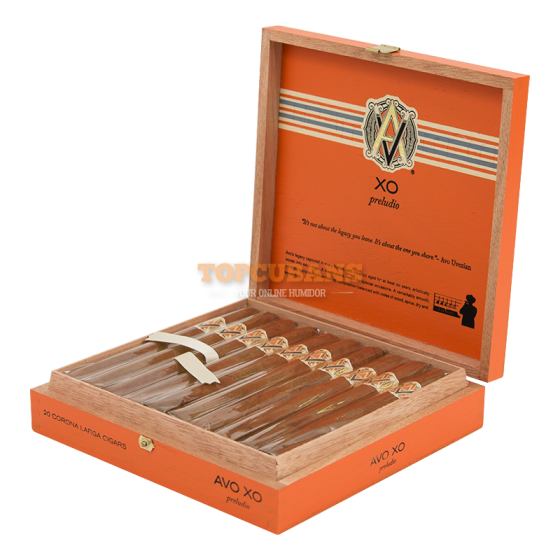 AVO XO Preludio (ステック)