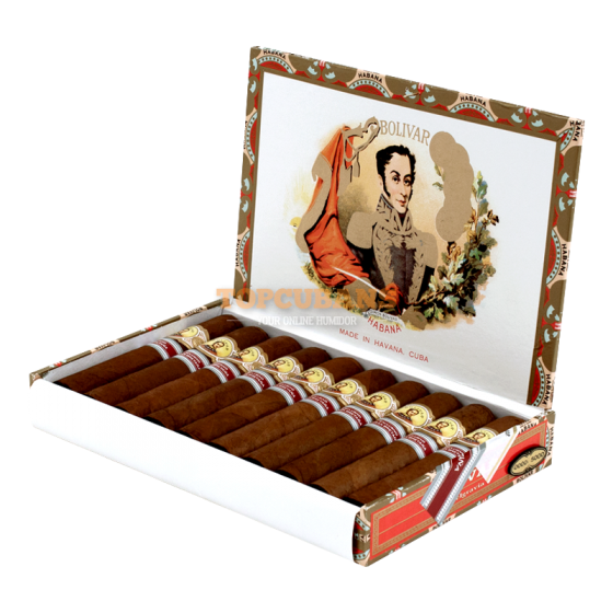 ボリバー ベルグラビア(イギリスマーケット限定) (Box of 10)