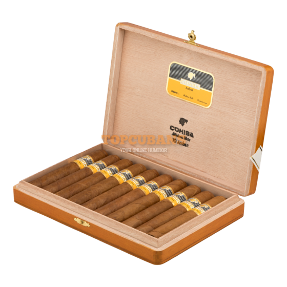 COHIBA (코이바) Ambar (Box of 10)