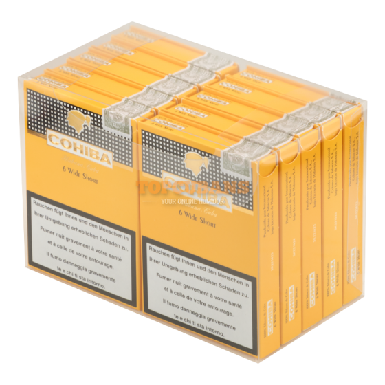 COHIBA (코이바) Wide Short (6x10) (Cube of 60)