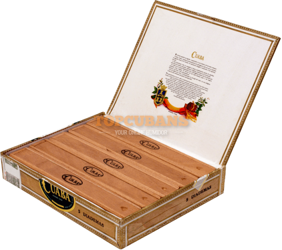 CUABA (쿠아바) Diademas (Box of 5)