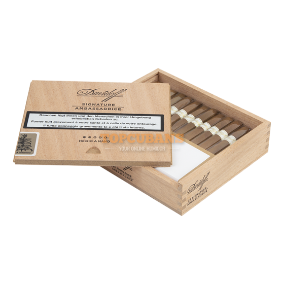 DAVIDOFF (다비도프) Signature Ambassadrice (Box of 25)