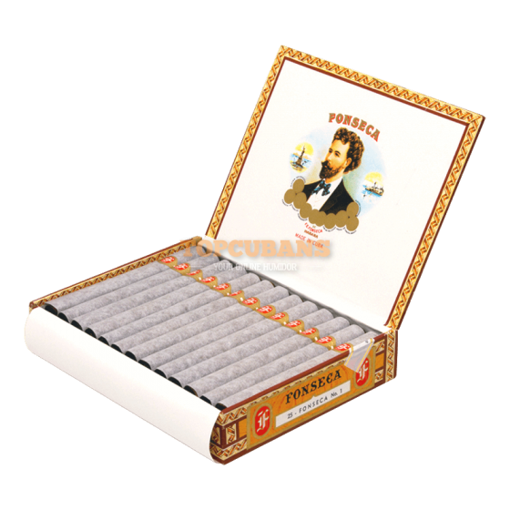 フォンセカ No.1　 (ステック)