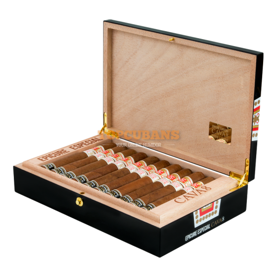 HOYO DE MONTERREY (오요 데 몬테레이) Epicure Especial Cava 8 Spanish Regional Production 2019 (Box of 20)