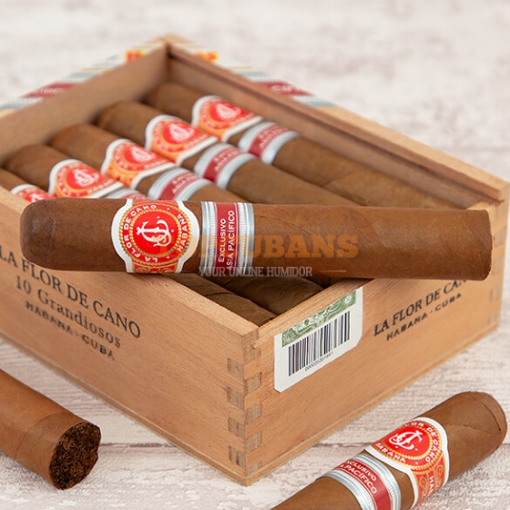 FLOR DE CANO (フロール・デ・カノ) グランディオソス　 (Box of 10)