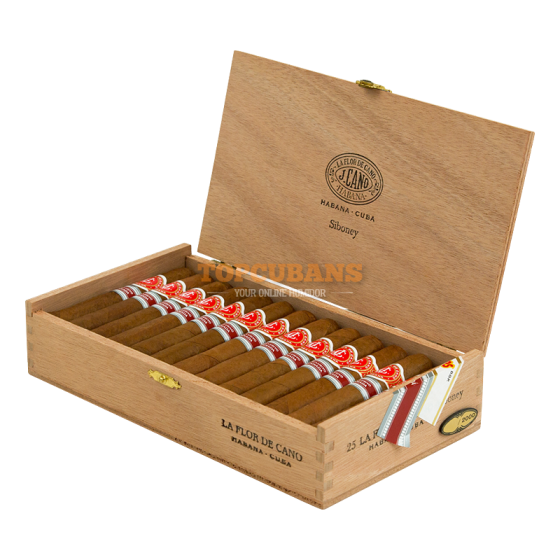 FLOR DE CANO (フロール・デ・カノ) シボネイ（カナダマーケット限定） (Box of 25)