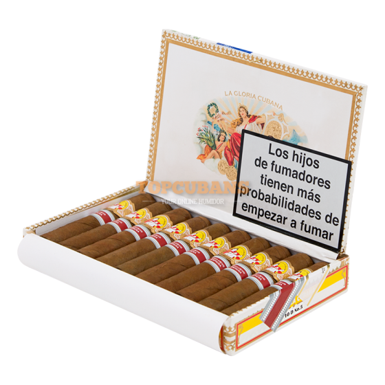 LA GLORIA CUBANA (ラ・グロリア・クバナ) セリーD No.5（スペインマーケット限定） (Box of 10)