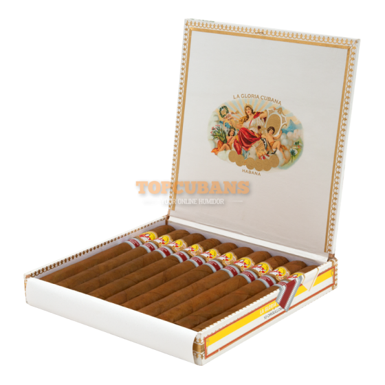 サンチョ・パンサ サンチョス Box of 10 - Buy Sancho Panza