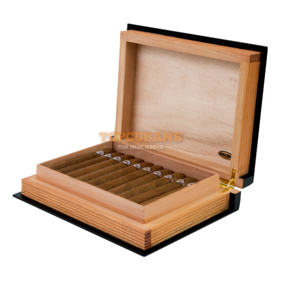 MONTECRISTO Gran Piramides Habanos Collection Xv 2017 (Box of 20)