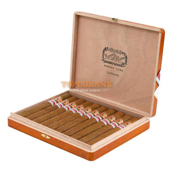 Ramon Allones (라몬 알론네스) La Palmera - Emiratos Arabes (Regional 2016) (Box의 10)
