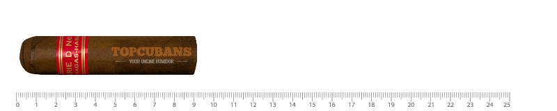 セリーD No.6