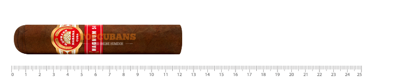 マグナム 54