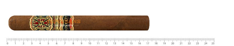 Opus X Lost City - Toro