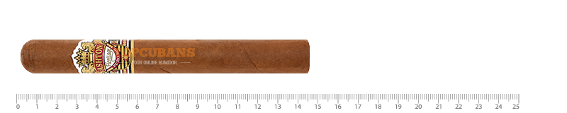 ASHTON Heritage Corona Gorda (Stick)