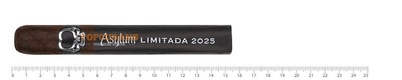 ASYLUM 13 Limitada 2025 (Stick)