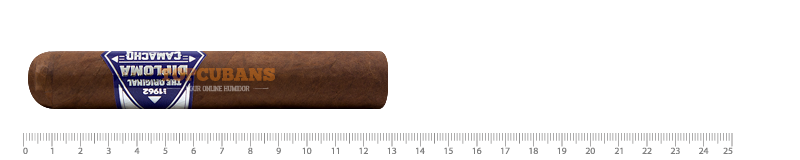 Diploma Special Selection