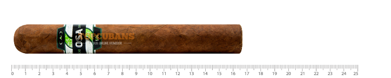 Osa Sol - Lot 58