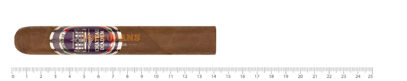 Splendor - Robusto Extra