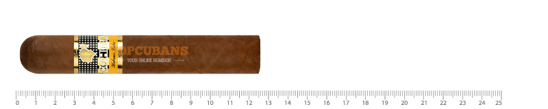 COHIBA Robustos (Stick)