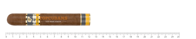 Vistosos - 2024 (travel Retail)