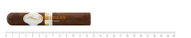 Aniversario - 702 Series - Special R