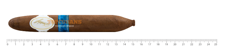 Limited Art Edition - 2016