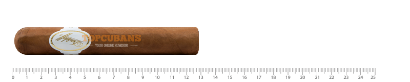 Mille - 6000