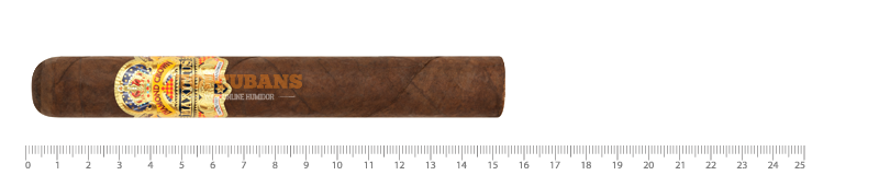Maximus - Toro No.4
