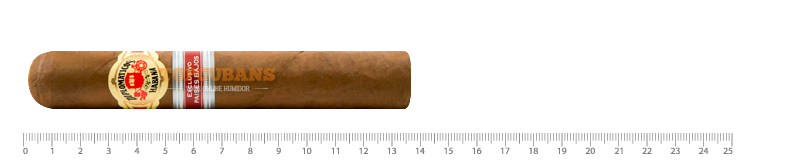 El Embajador - 2015 - Paises Bajos