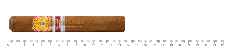 Serie B N2 2019 Brasil  (DAMAGED/NO PACKAGING)