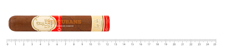 20 Aniversario - Robusto