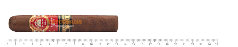H.UPMANN Magnum Finite - Limited Edition 2024