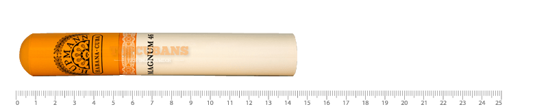 マグナム 46 (AGED 2008)