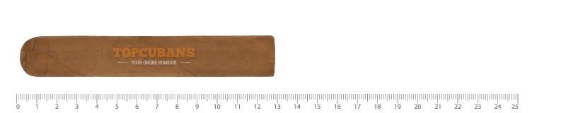 CHATEAU DIADEM Monkey Business - Gran Robusto (Stick)