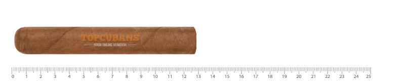 Monkey Business - Robusto