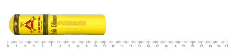 Petit Edmundo (AGED 2011)