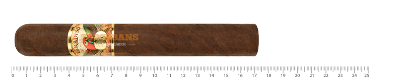 PARADISO (파라디소) Coloso (Stick)