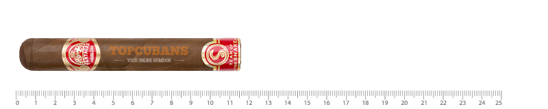 Cedros - Year Of The Snake 2025