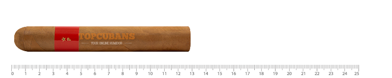 PATORO Gran Anejo Reserva - Robusto (Stick)