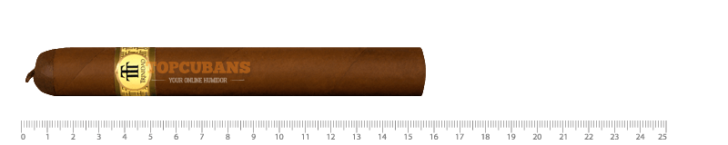 ロブスト　エクストラ　