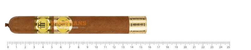 TRINIDAD Robustos Extra (Stick)
