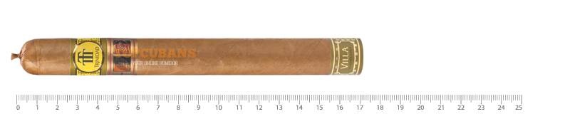 TRINIDAD Villa (cdh) (Stick)