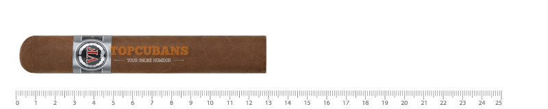 Serie 2 - Robusto