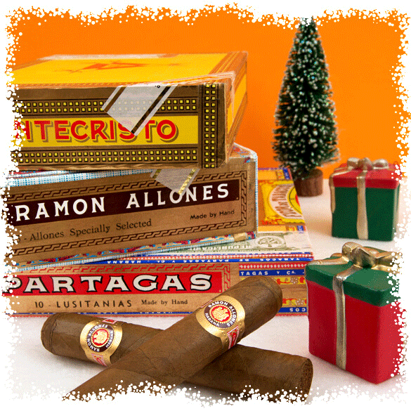20% OFF XMAS!!